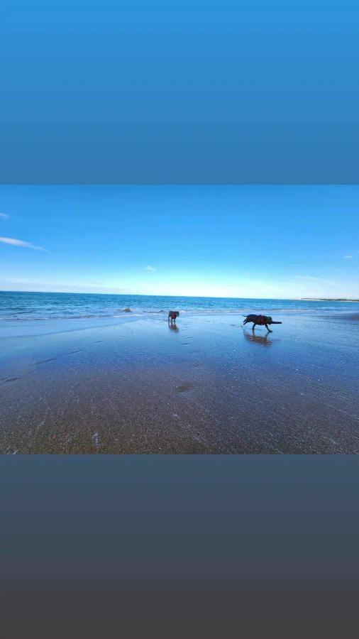 Beachbach16 - Kakanui Экстерьер фото